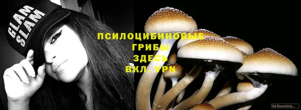 ешки Волоколамск