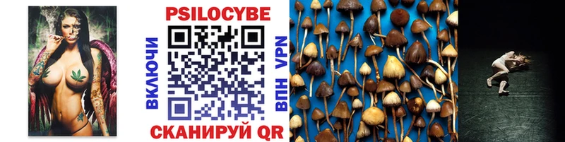 Псилоцибиновые грибы Cubensis  KRAKEN сайт  Плёс  купить наркоту 